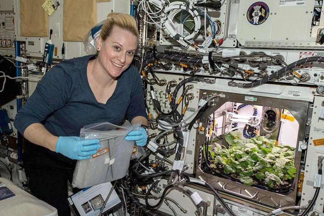 Nauka Kate-Rubins-Checks-Out-Radish-Plants