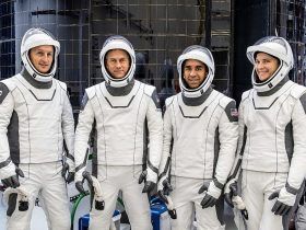 Crew-3 astronauts