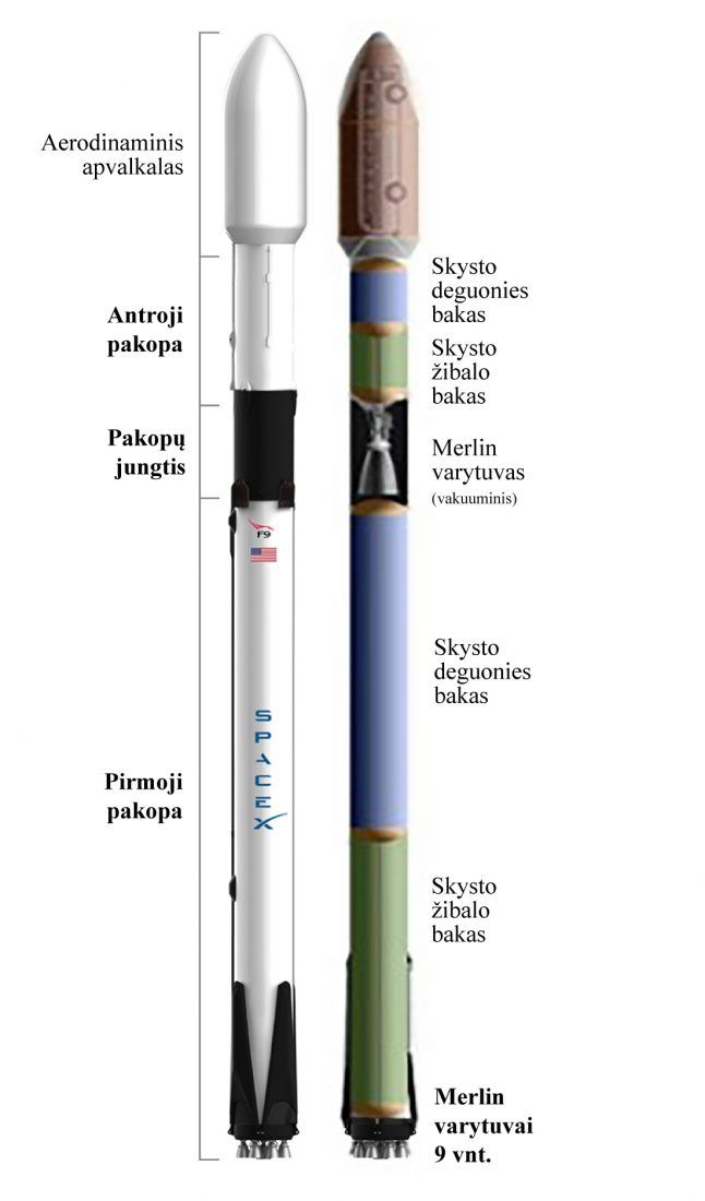 Falcon-9 schema