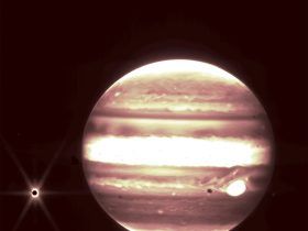 Jupiter Webb