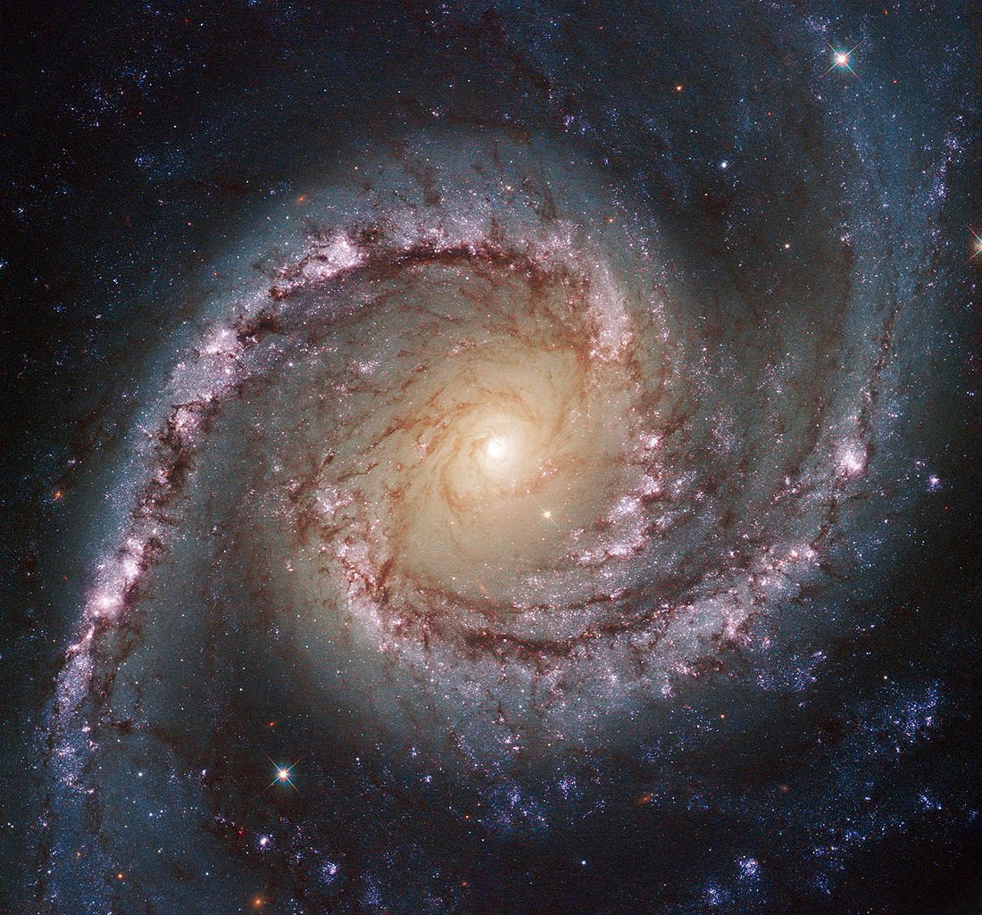 įvykiai NGC 1566 galaxy