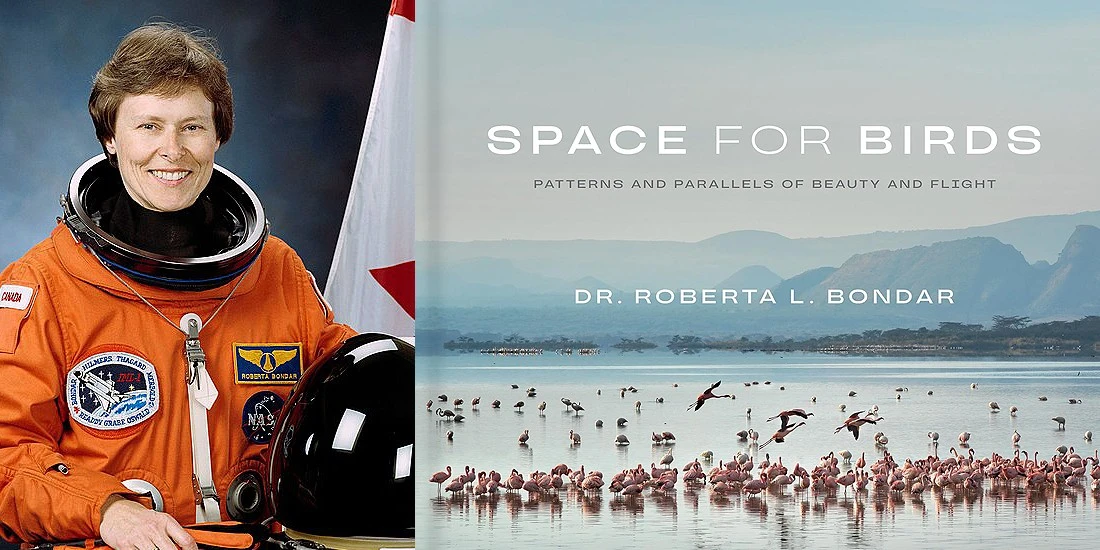 Bondar Roberta Space for birds Bondar Roberta Space for birds