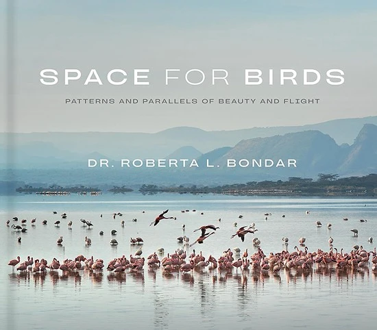 Bondar Space for birds